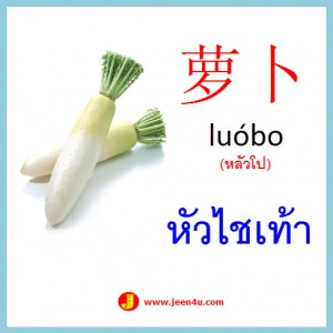 11คำศัพท์ภาษาจีน หัวไชเท้า