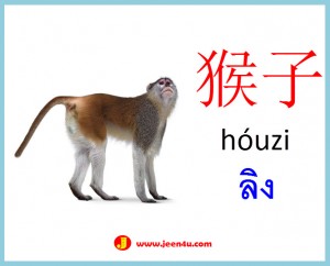 12ศัพท์จีนสัตว์ ลิง