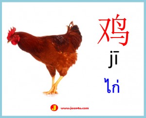 1ศัพท์จีนสัตว์ ไก่
