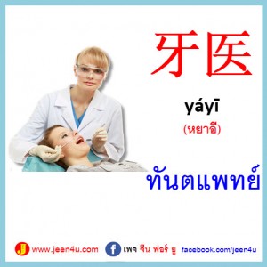 27ทันตแพทย์  ภาษาจีน