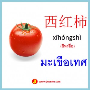 4คำศัพท์ภาษาจีน มะเขือเทศ