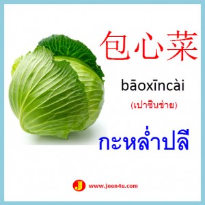 6คำศัพท์ภาษาจีน กะหล่ำปลี