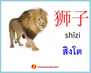 9ศัพท์จีนสัตว์ สิงโต