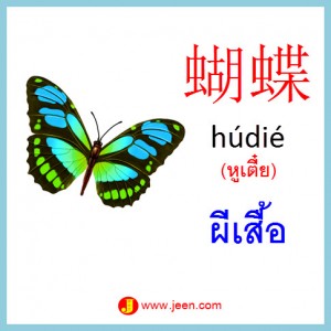 10คำศัพท์ภาษาจีน ผีเสื้อ