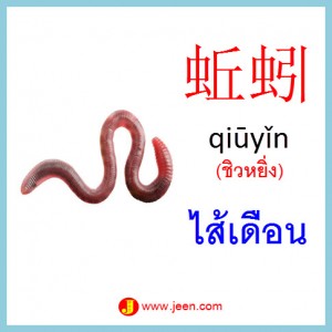 15คำศัพท์ภาษาจีน ไส้เดือน