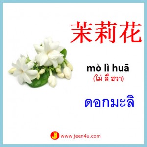 1ดอกมะลิ ภาษาจีน