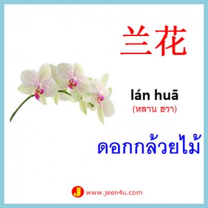 4ดอกกล้วยไม้ ภาษาจีน