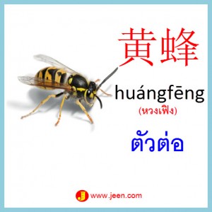 6คำศัพท์ภาษาจีน ตัวต่อ