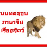 แบบทดสอบภาษาจีน เรื่องสัตว์