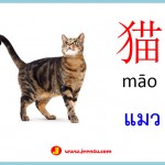 ศัพท์จีนรูปภาพ สัตว์