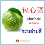 ศัพท์จีนรูปภาพ ผัก